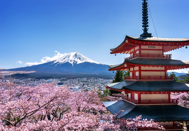 注册条件