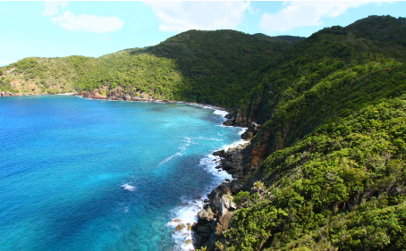 越南公司注册条件