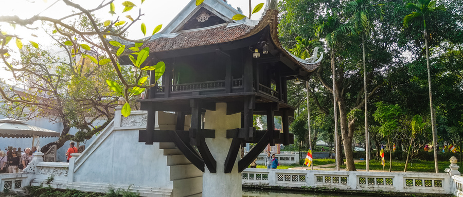 越南公司股权架构
